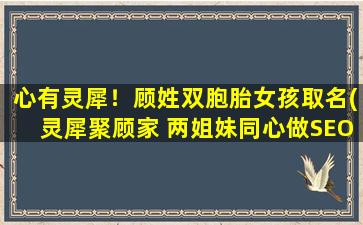 心有灵犀！顾姓双胞胎女孩取名(灵犀聚顾家 两姐妹同心做SEO)